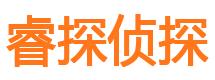 武都市侦探